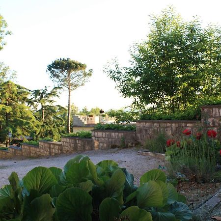 Ferienwohnung Casa Titty Serre Di Rapolano Exterior foto